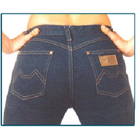 FSH Blue Dog Ladies Regular Fit Stretch Hipsters