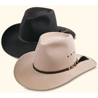HA170 Akubra Longhorn Hat