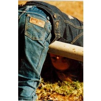 JDJ Blue Dog Regular Fit Junior Jean