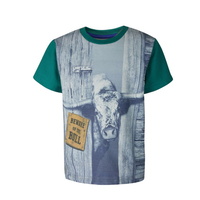 T6S3501049 BOYS DIGITAL COLOUR BLOCK TEE - Teal/Grey