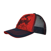 X6S3901CAP BOYS WILLIS TRUCKER CAP