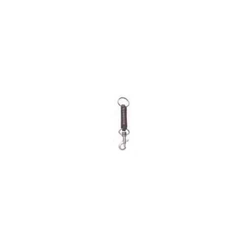 CG967 Hook on Key Ring [Colour: Warwick]