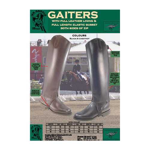 Harold HB010 Dressage Gaiter [Size: 6 Colour: Black]