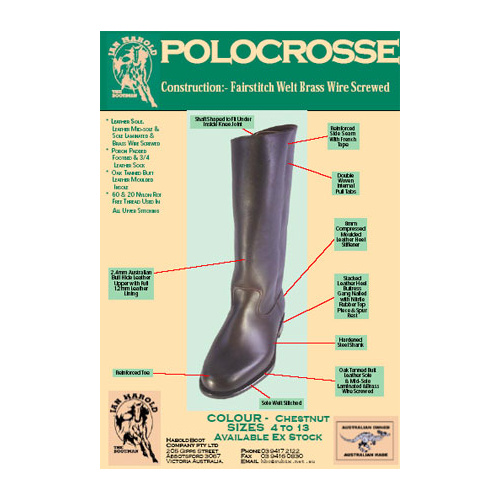 Harold HB022 Polocrosse Men's Boot [Size: 4 Colour: Dark Brown / Dark Brown]